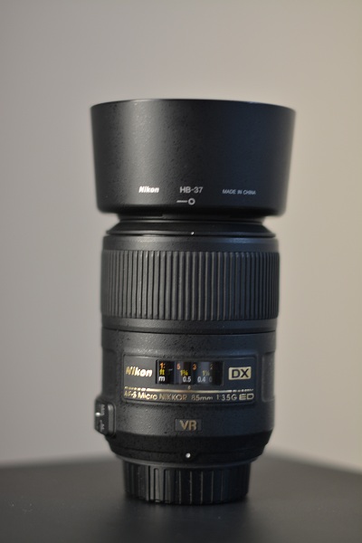 RNB_8244.JPG