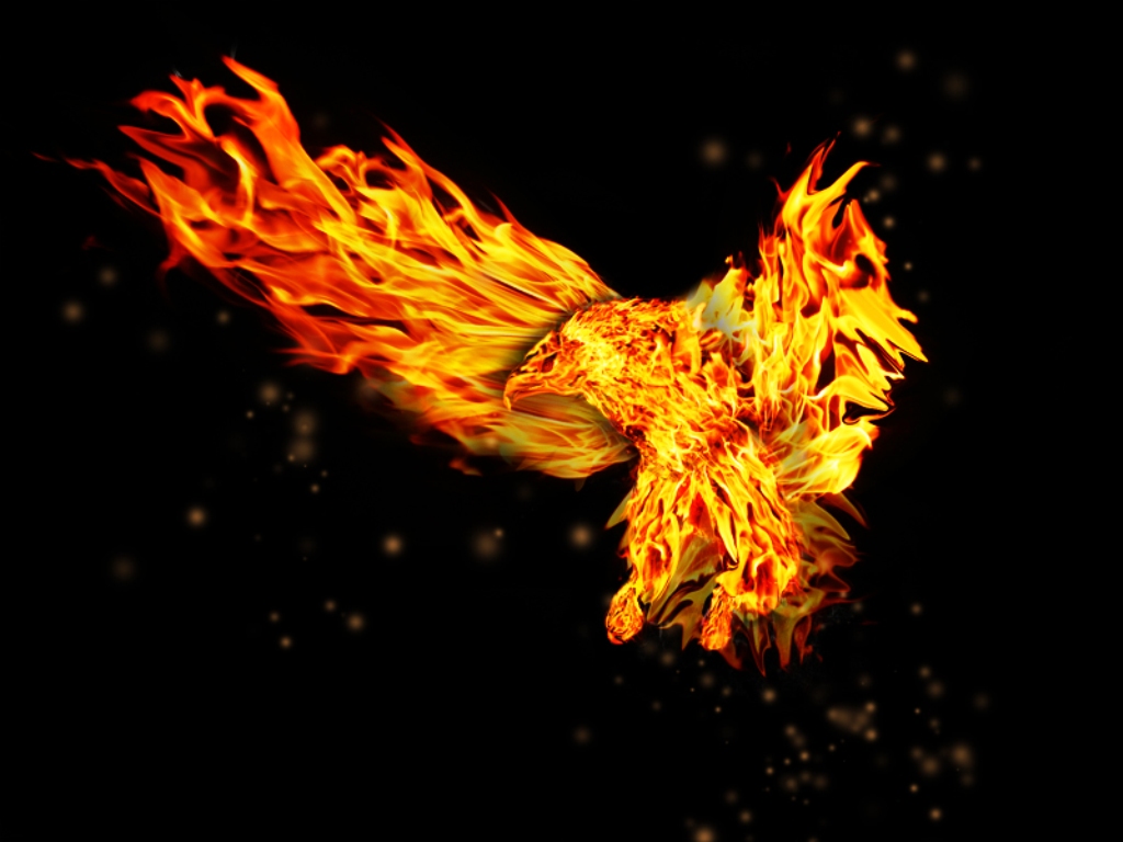 Fire_Eagle_Wallpaper_HD__1_.jpg