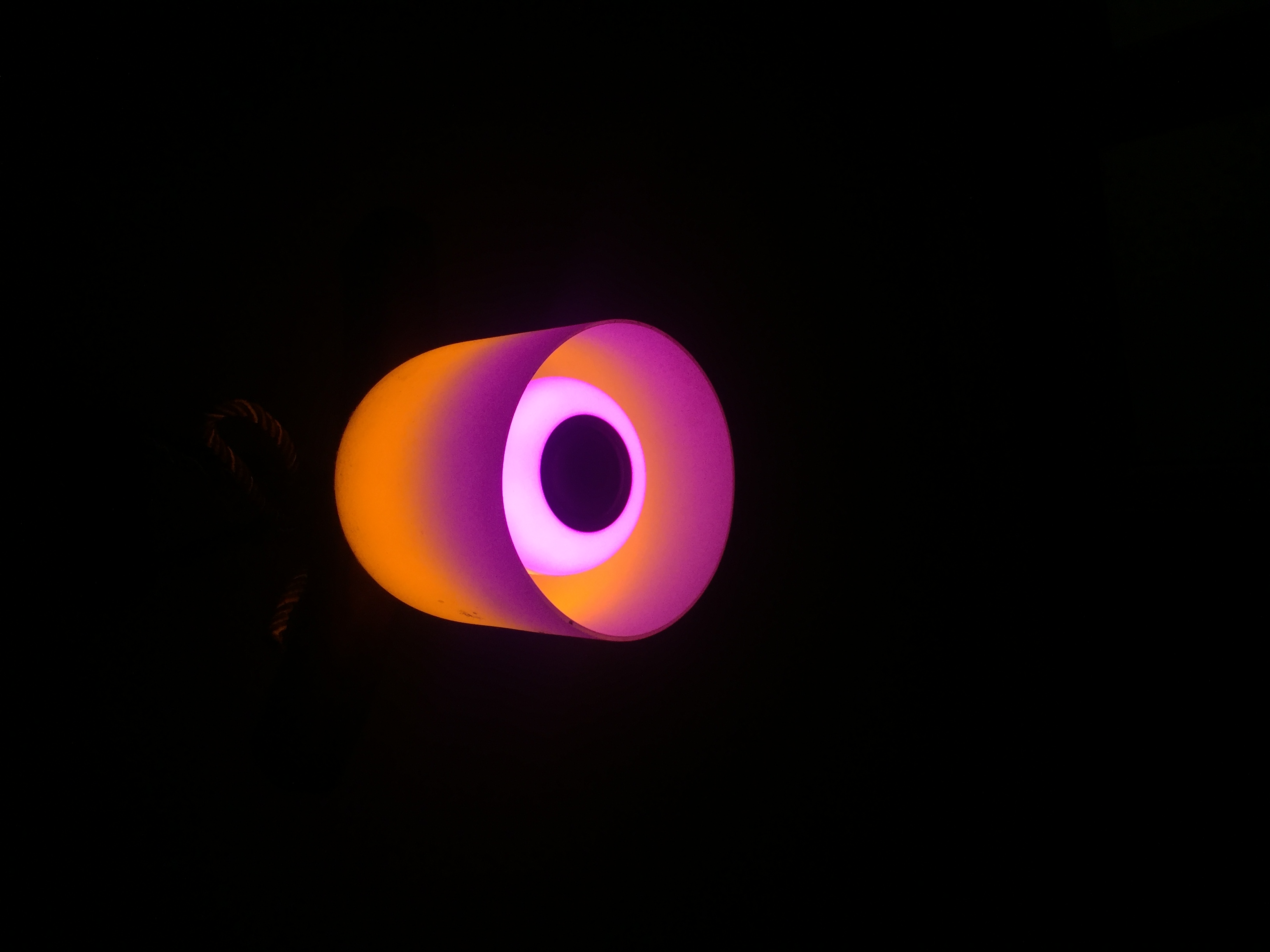 62151C77_3D86_43D1_933D_D6B681490212.jpeg