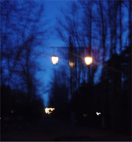 lights.jpg