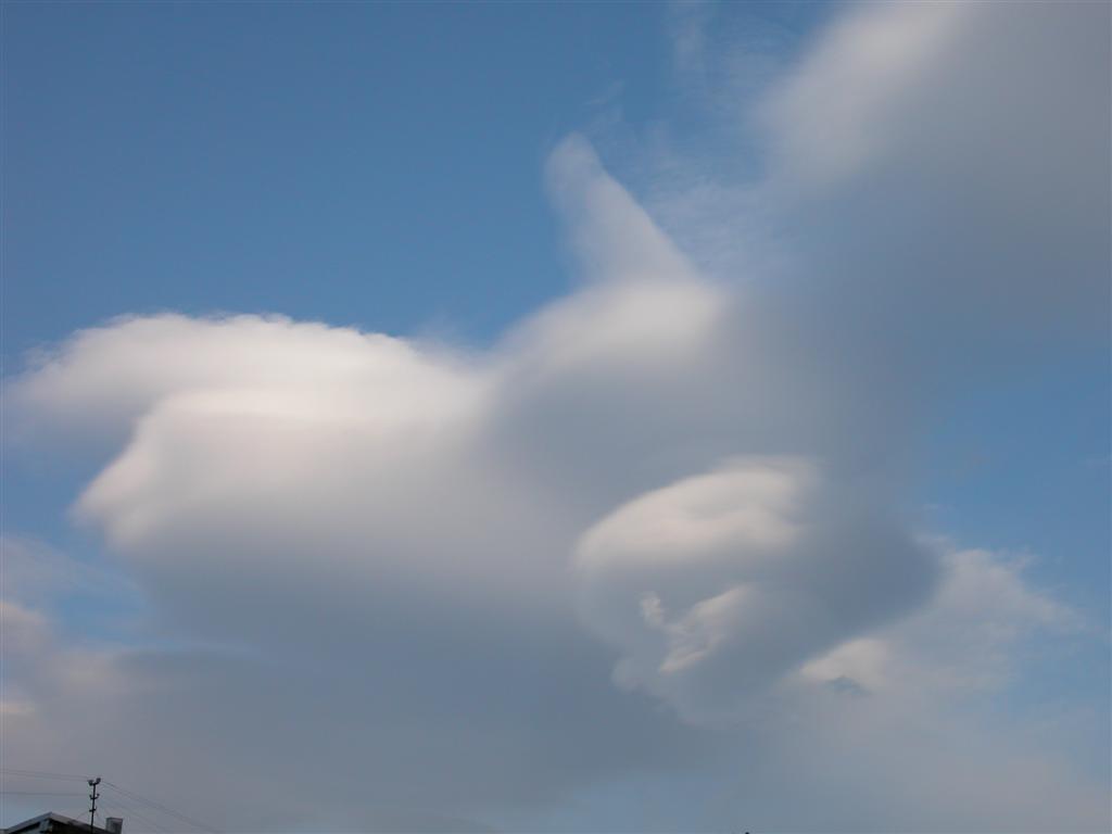 DSCN5362__Large_.JPG