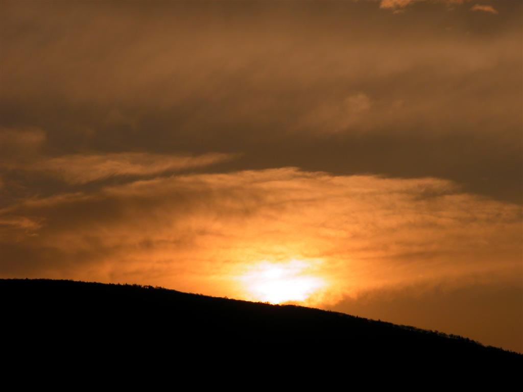 DSCN5141__Large_.JPG