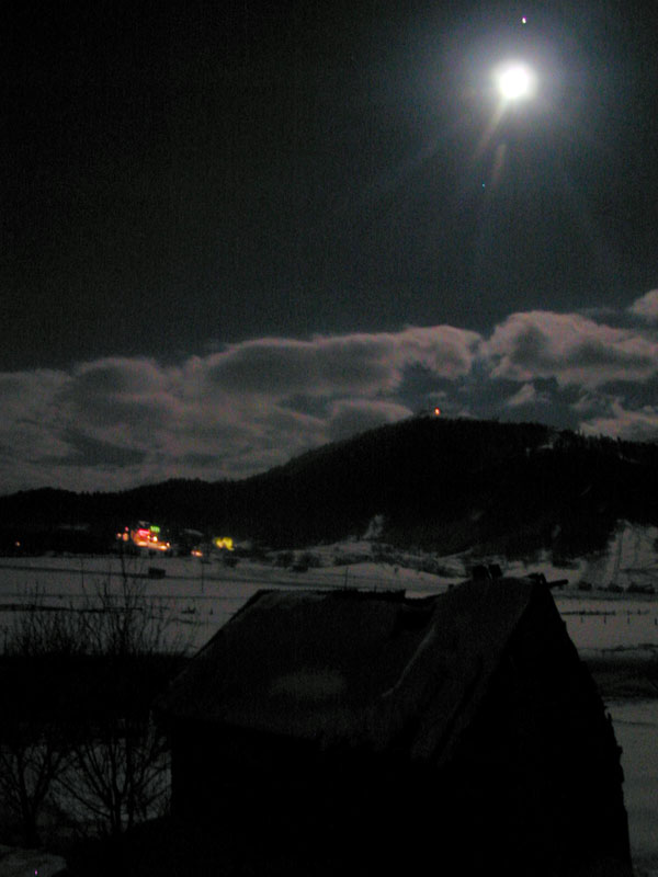 P1010448_v1.jpg