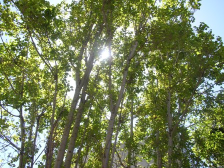 DSCN0392.JPG