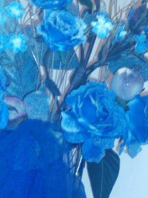 Picture_090.jpg