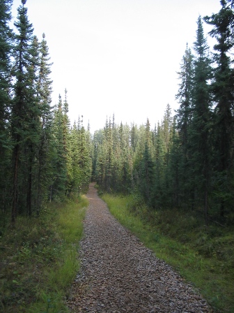 IMG_1563.jpg