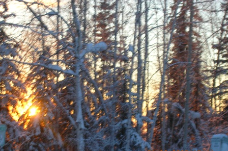 Picture_038.jpg
