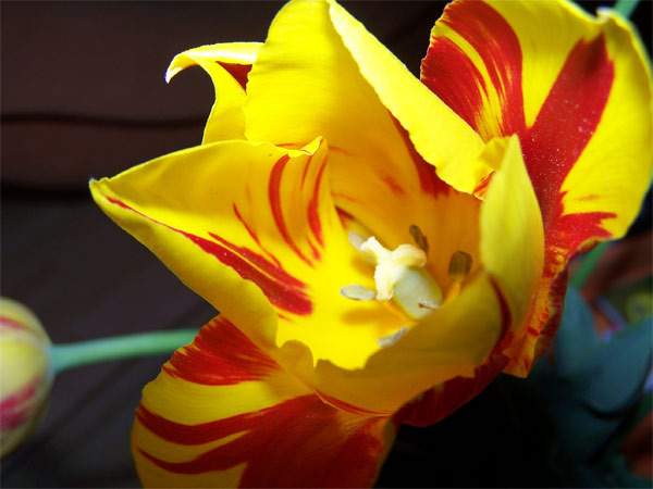 Picture_002.jpg