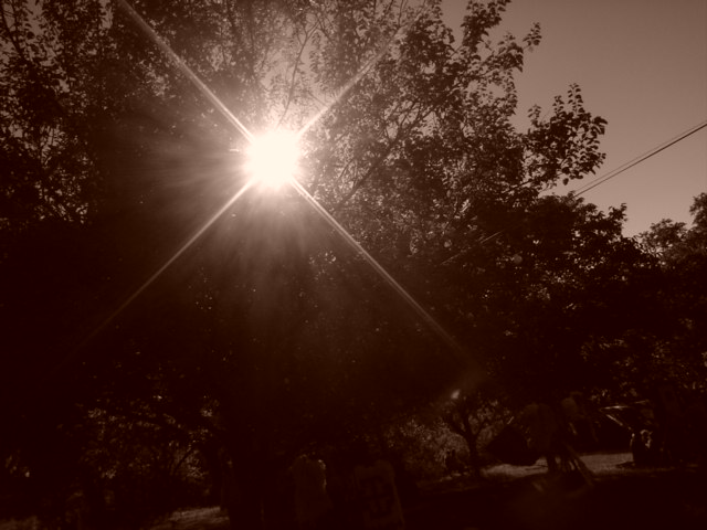 Picture_026.jpg