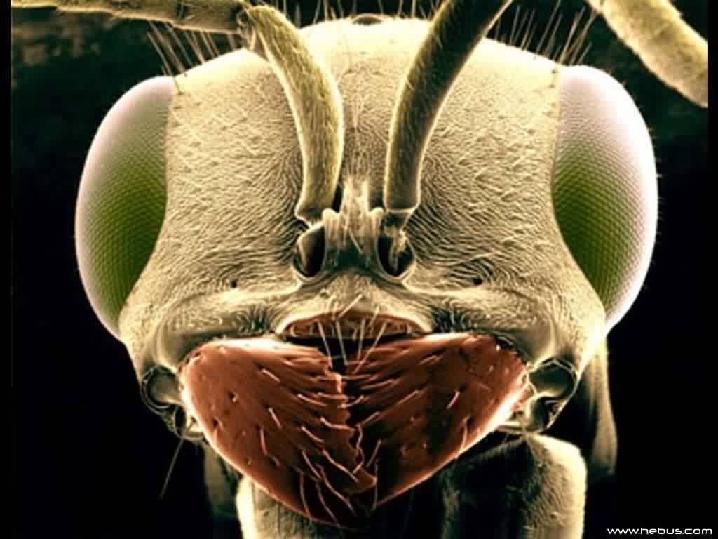 19990822155312_38811_1_.jpg