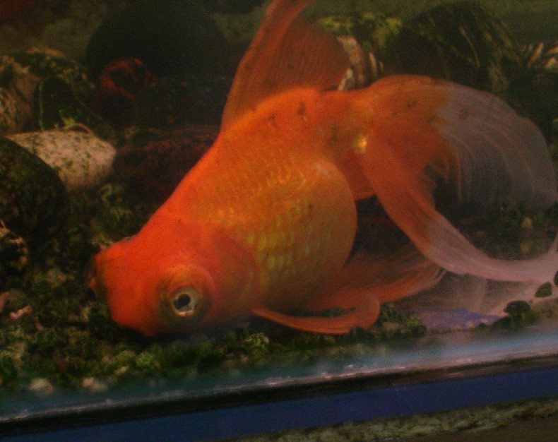 DSC05022.JPG