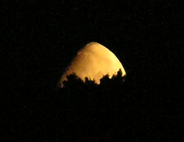 a6.jpg