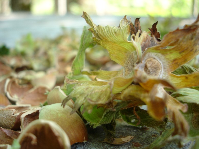 DSC07824.JPG