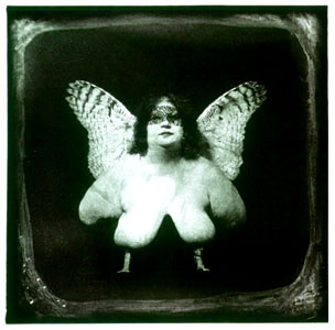Witkin_BirdsOQueveda.jpg