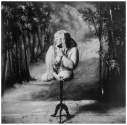 bienal_witkin.jpg