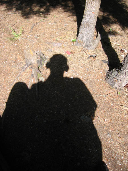 IMG_0320.jpg