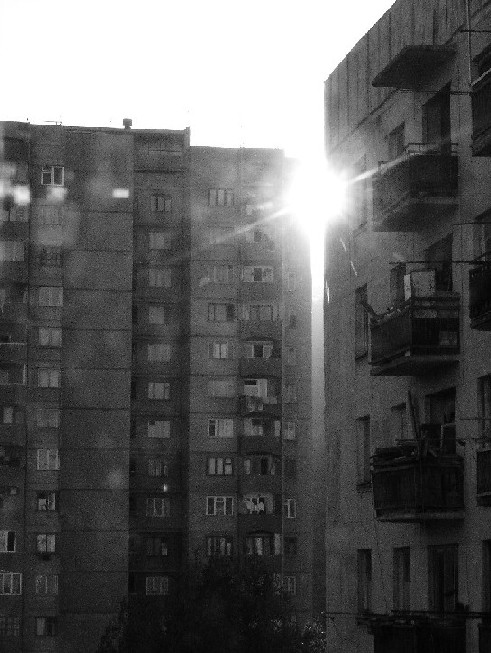 DSC08606.JPG
