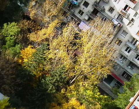 IMGA0410.jpg
