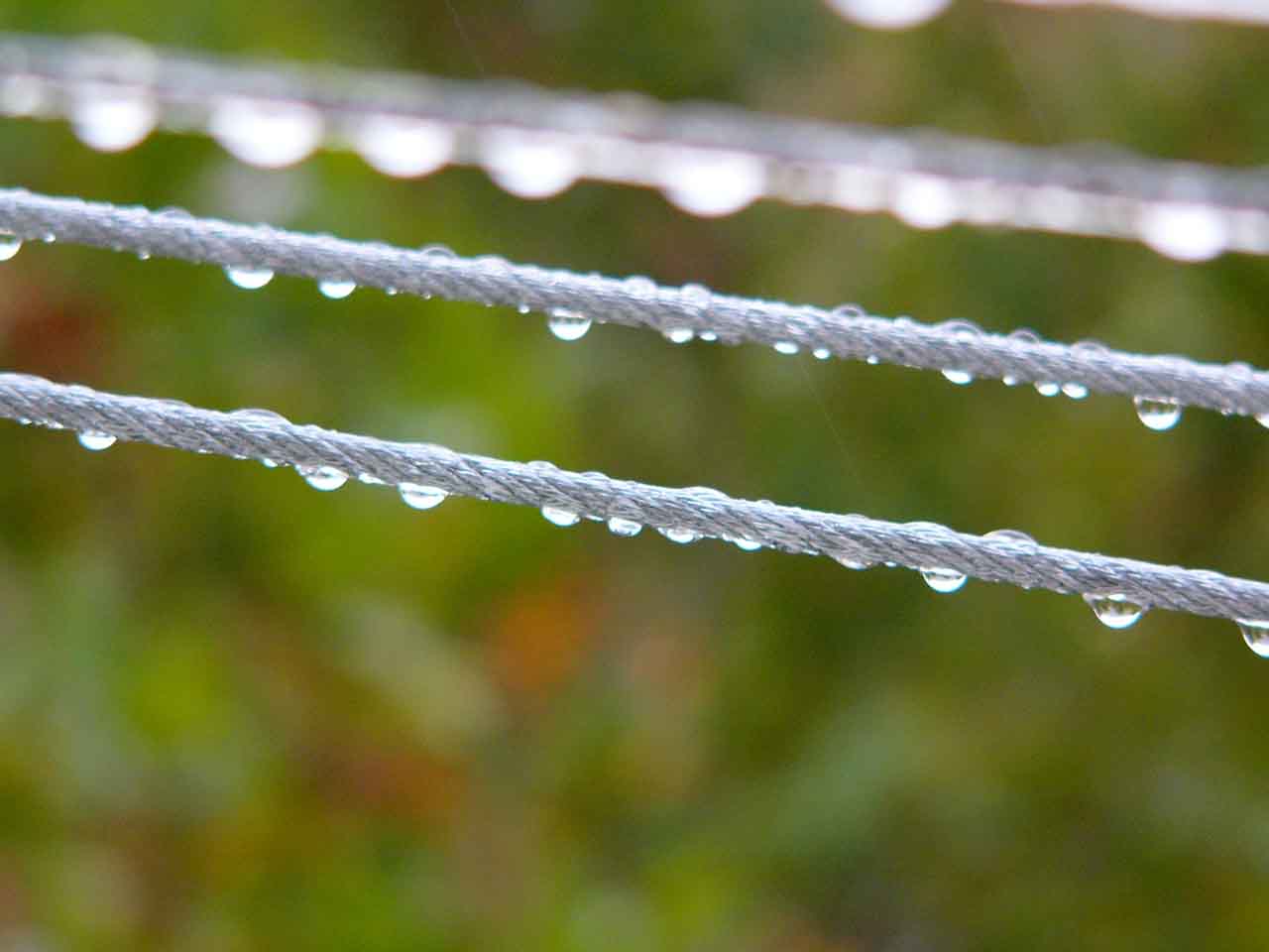 rain.jpg