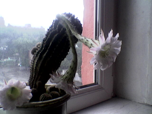 Image030.jpg