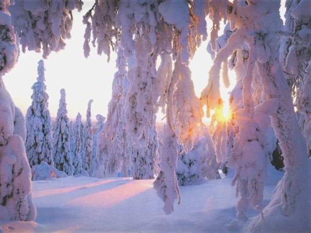winter_20_5_.jpg