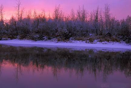 CHENA_RIVER_WINTER_SU.JPG