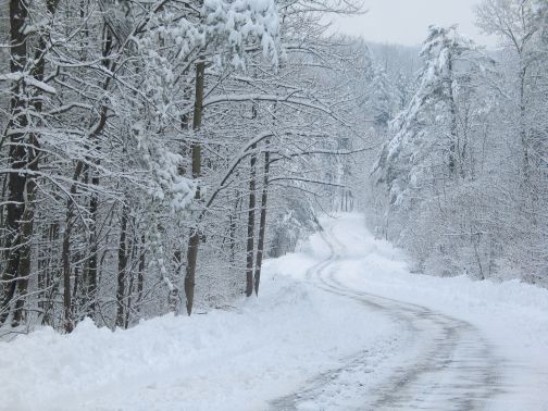 Snowy_20road.jpg