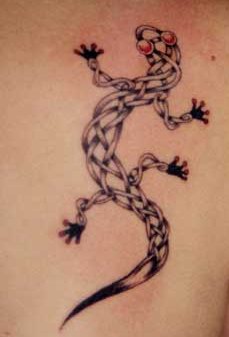 Lizard.jpg