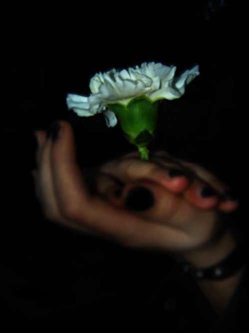 rise_in_dark_hands.jpg