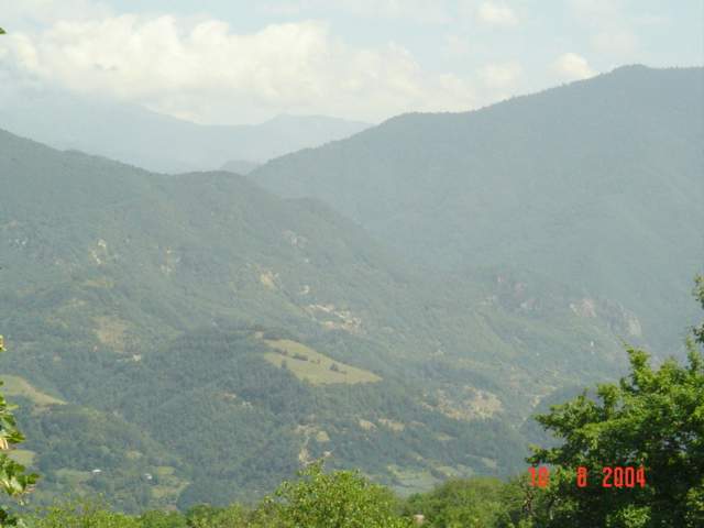 DSC01585.JPG