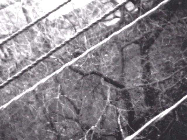 Photo0182.jpg