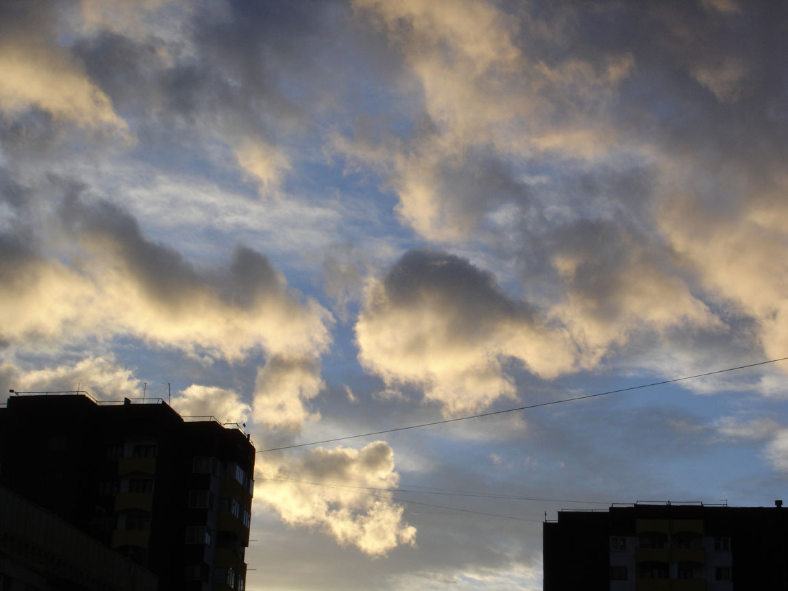 DSC08608.jpg
