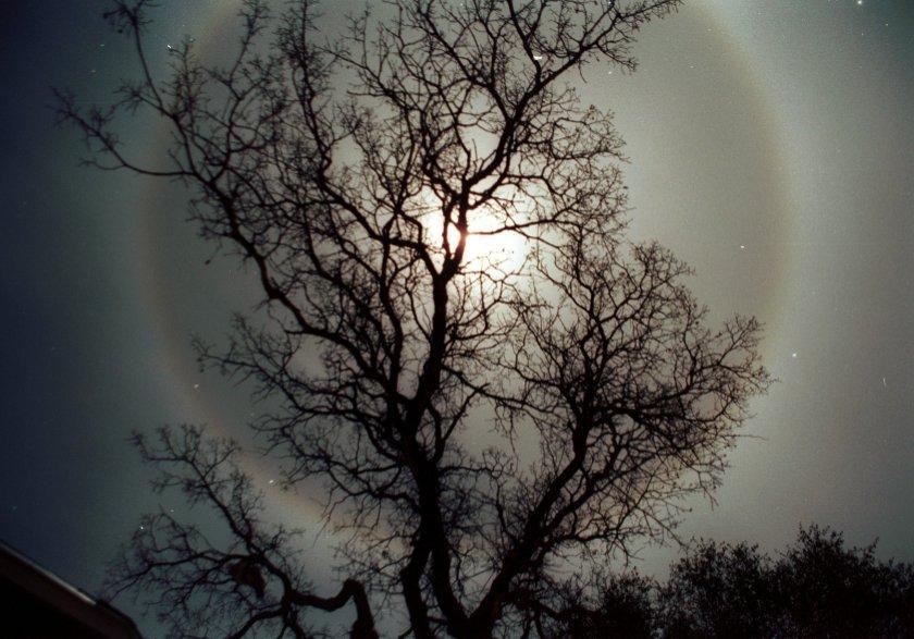MoonHalo2.jpg