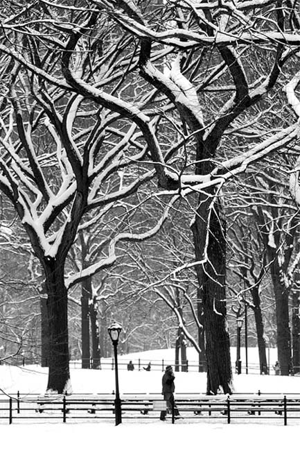 solitudeincentralpark.jpg