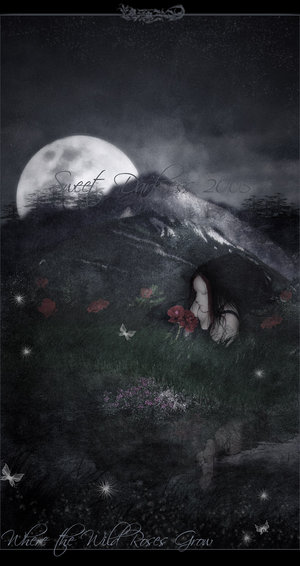 Where_the_Wild_Roses_Grow_by_MySweetDarkness.jpg