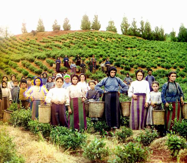 Resize_of_mechaieebi.jpg