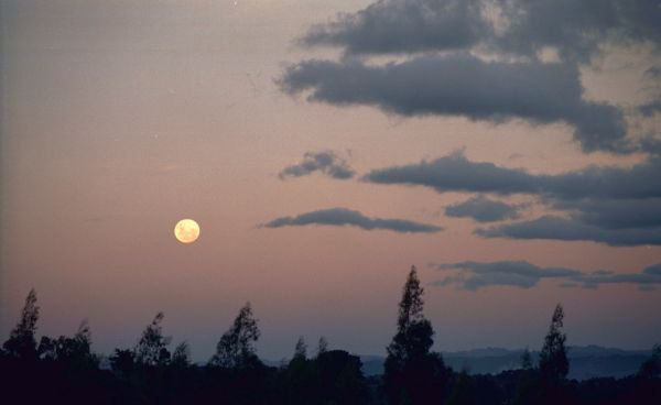 moon_rise_2.jpg
