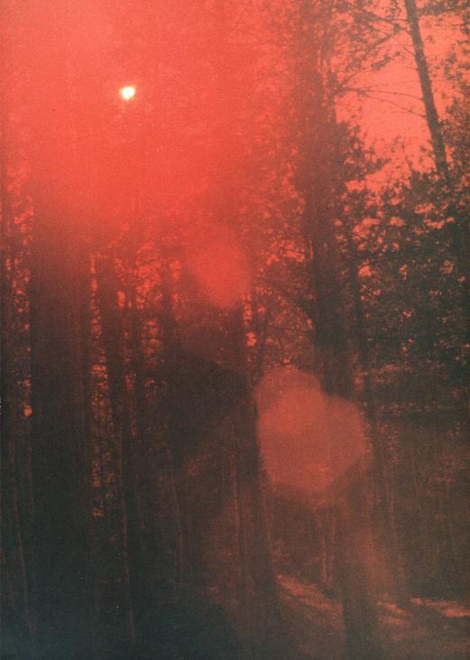 untitled.JPG