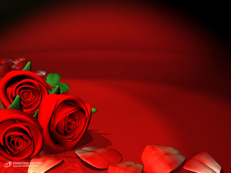 red_roses_qx.jpg
