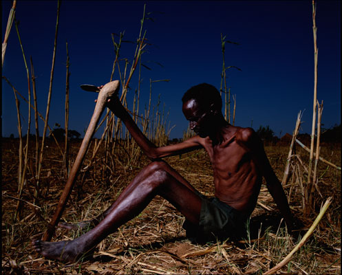 2003_j03.jpg