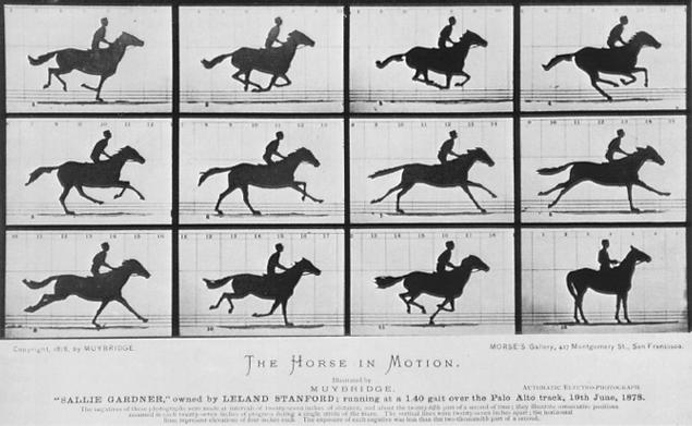Eadweard_Muybridge_568.jpg