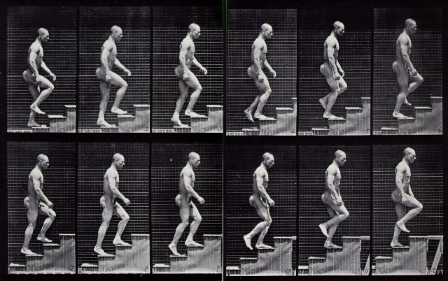 Eadweard_Muybridge_2.jpg