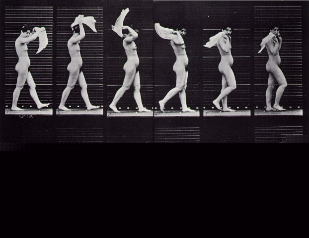 Eadweard_Muybridge_356.jpg