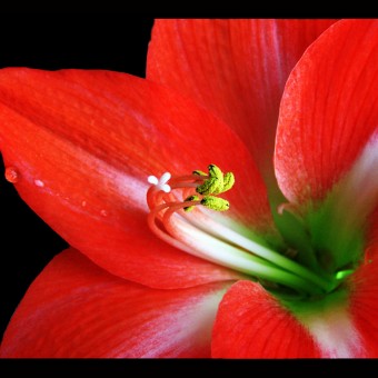 brightfull2_0340000c.jpg