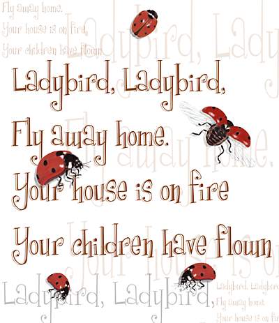 ladybird.jpg