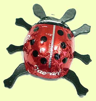 ladybird_shokoladi.jpg