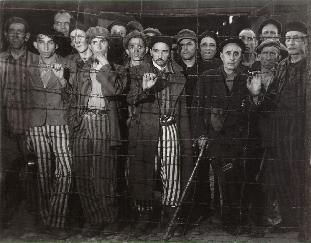 b_w_buchenwald.jpg