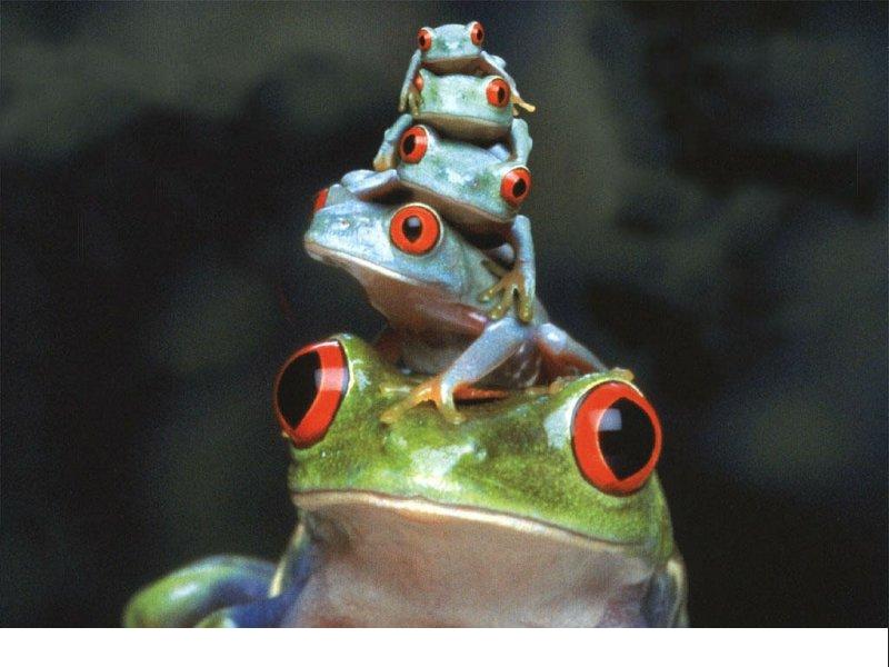 file.jpg