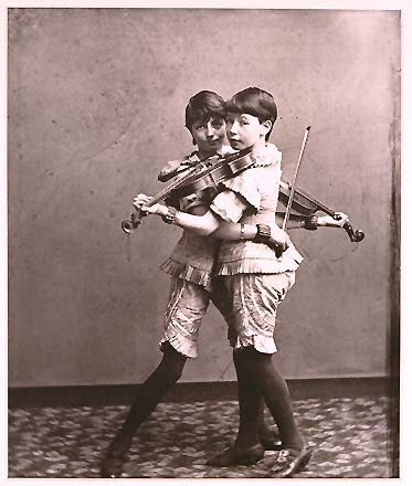 violin123fj1_1_.jpg