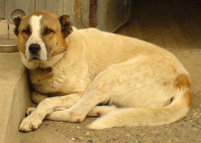 DSC00116.jpg